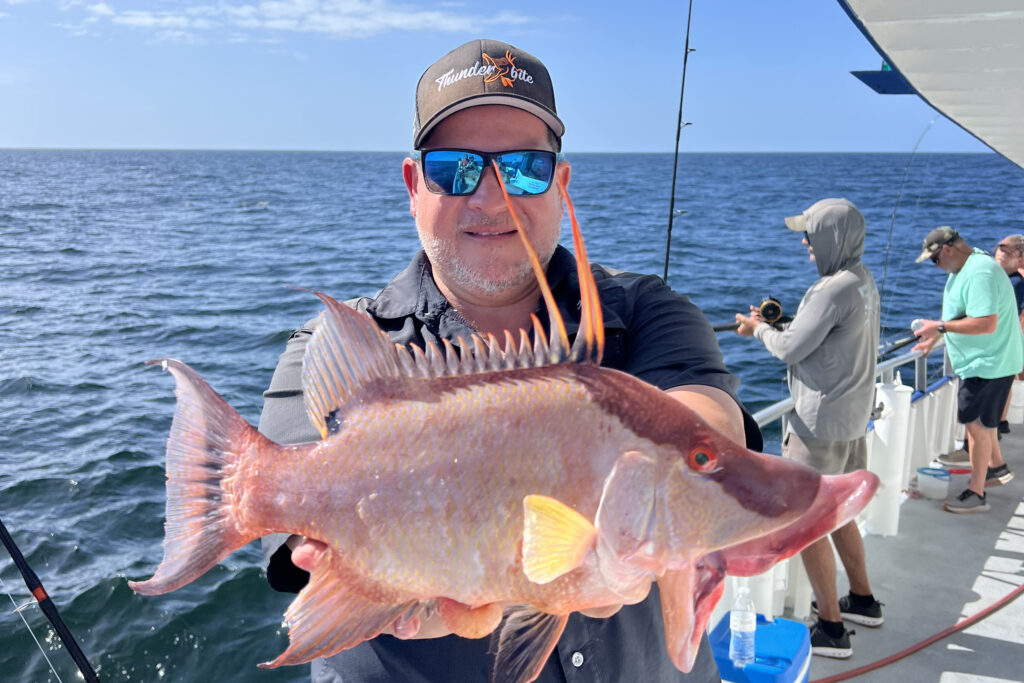 NEARSHORE-hogfish (20)