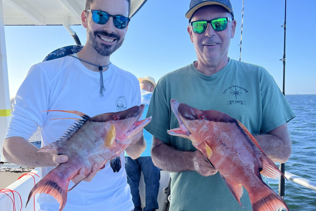 NEARSHORE-hogfish (7)