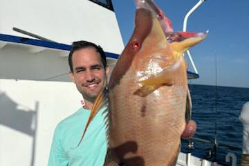 NEARSHORE-hogfish-best