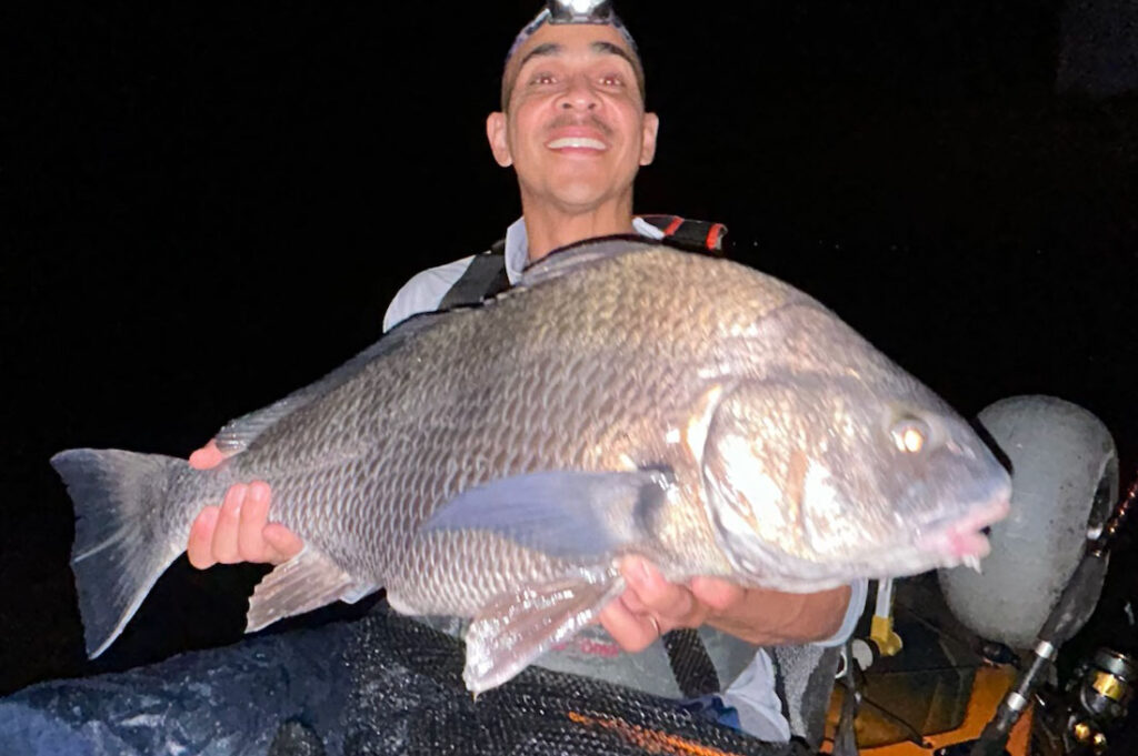 INSHORE-blackdrum_