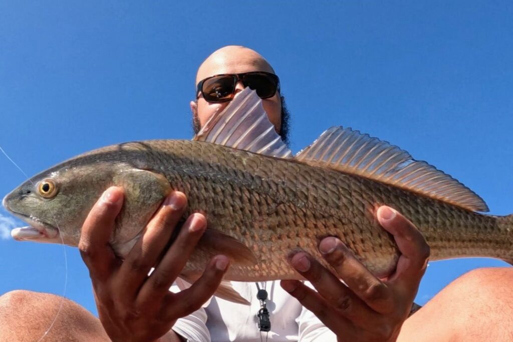 INSHORE - redfish (2)