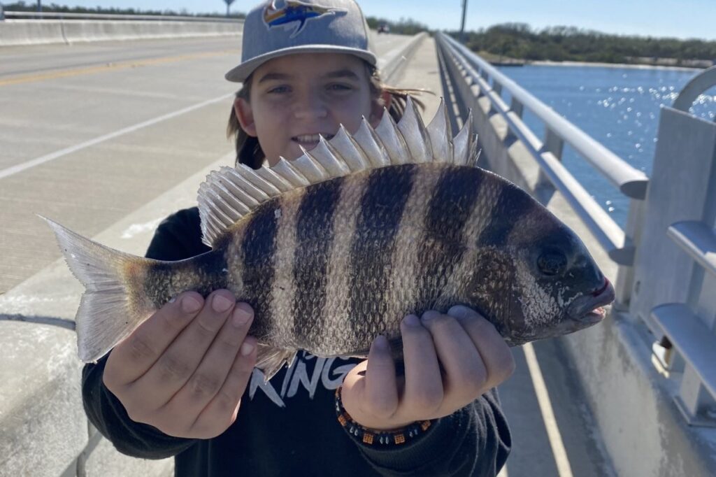 INSHORE - sheepshead (1)