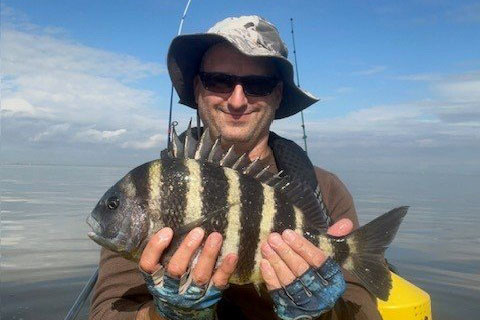 INSHORE-sheepshead