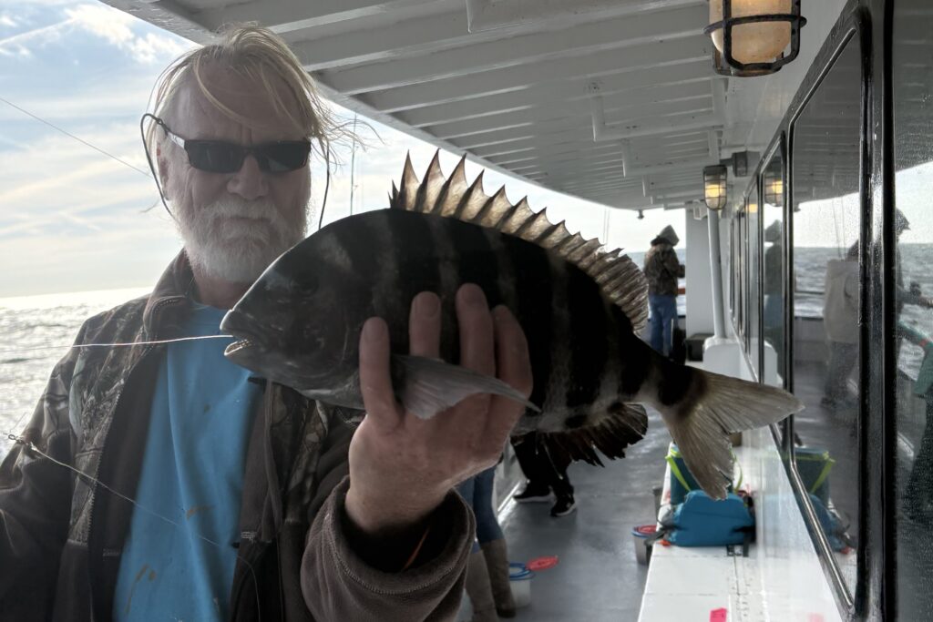 INSHORE - sheepshead 2 (1)