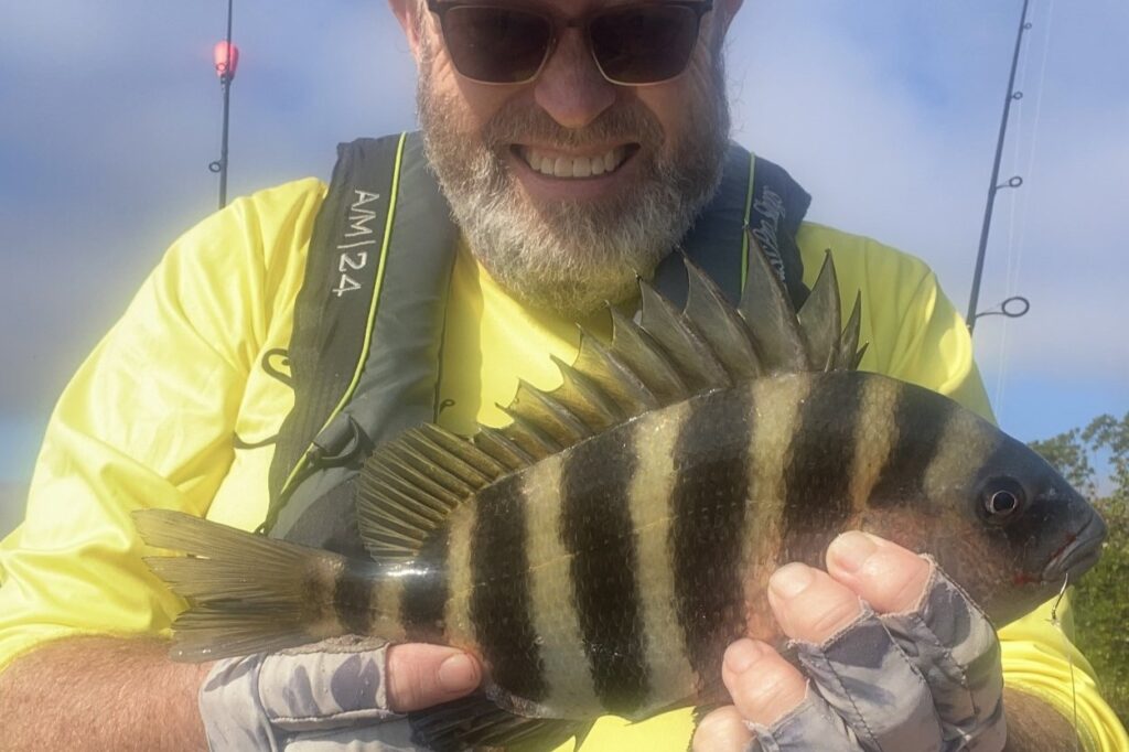 INSHORE - sheepshead (2)