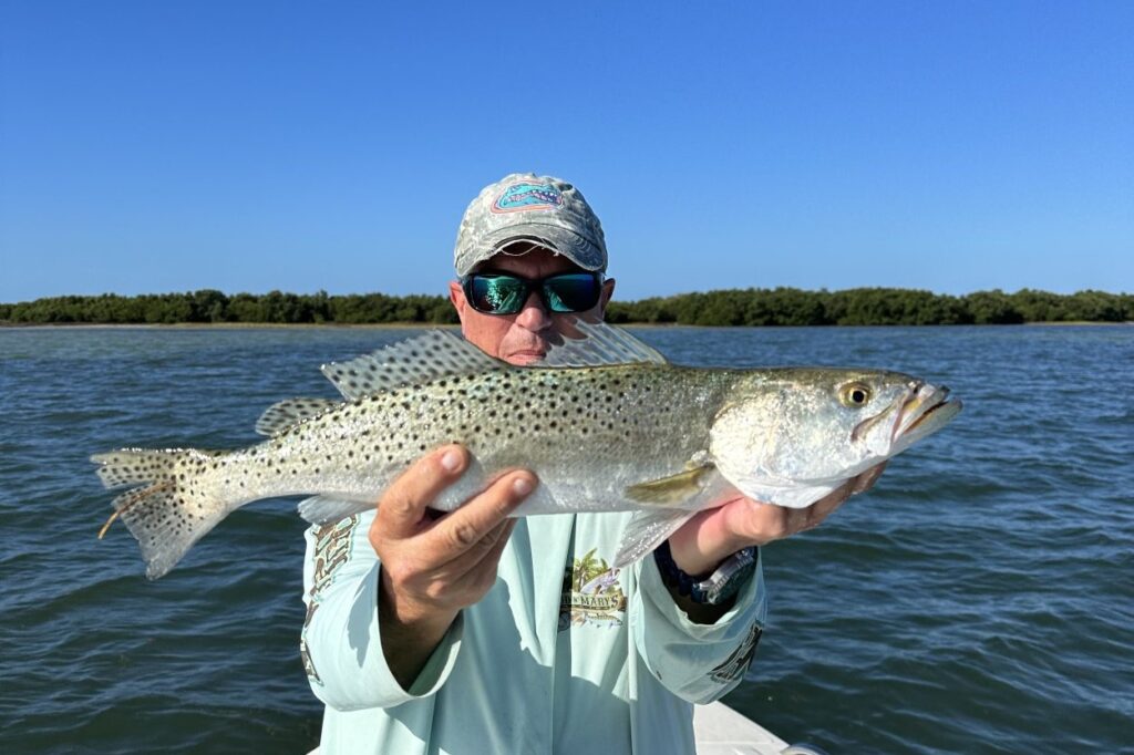 INSHORE - snook (1)