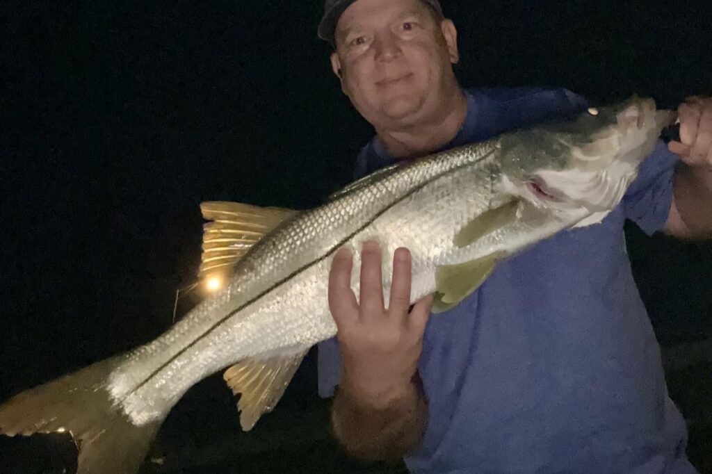 INSHORE - snook (16)