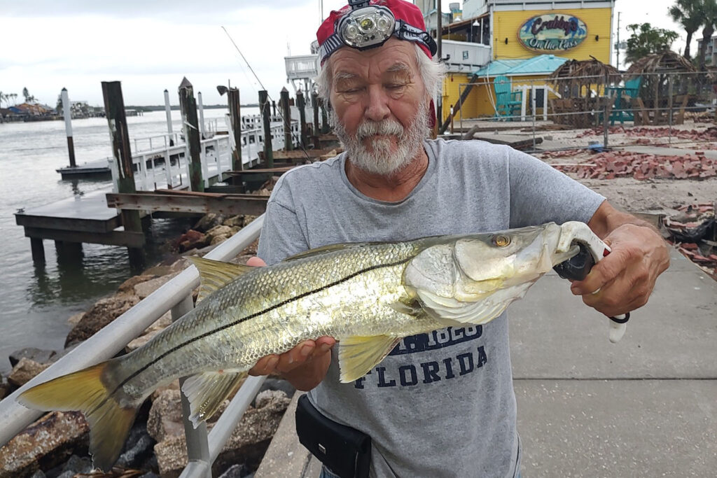 INSHORE-snook (2)