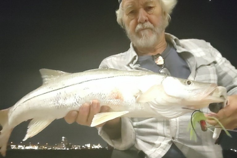 INSHORE - snook (2)