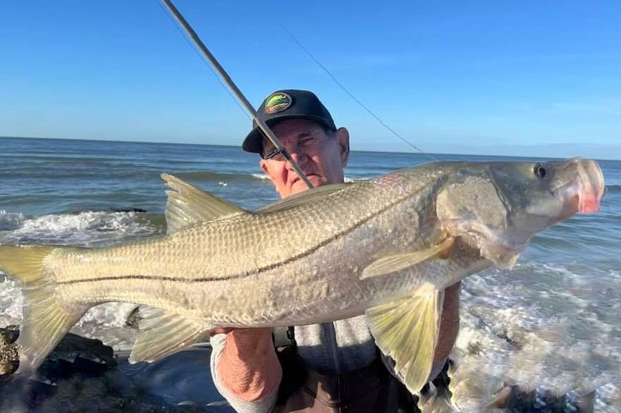 INSHORE-snook (3)