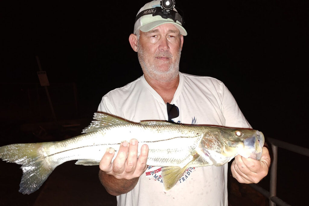 INSHORE-snook (5)