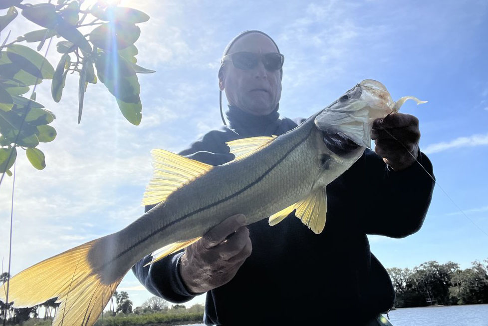 INSHORE-snook2