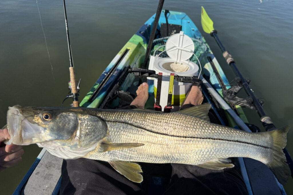 INSHORE-snook5