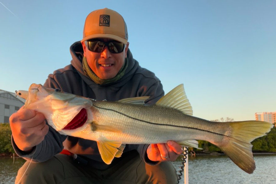 INSHORE-snook6