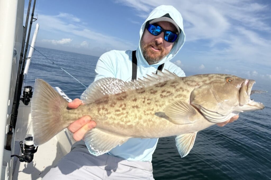 NEAR SHORE - gag grouper (1)