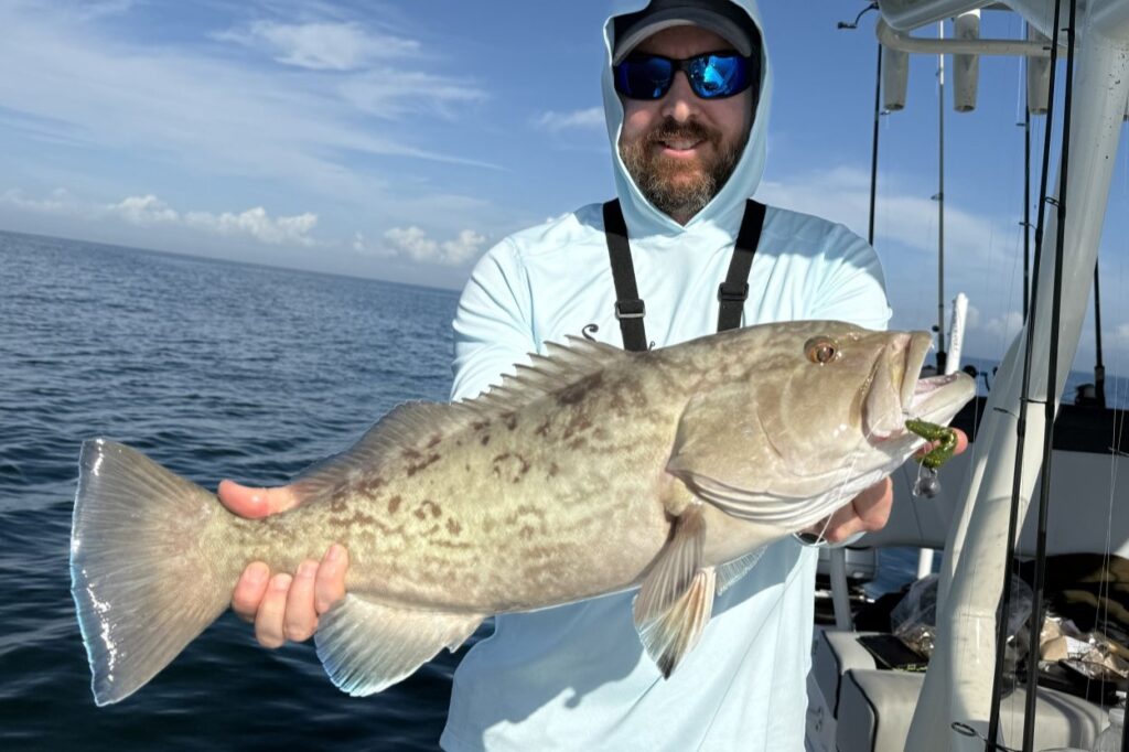 NEAR SHORE - gag grouper (2)