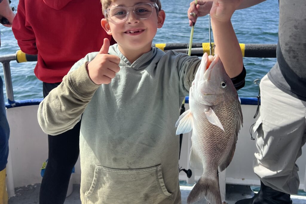 NEAR SHORE - grey snapper