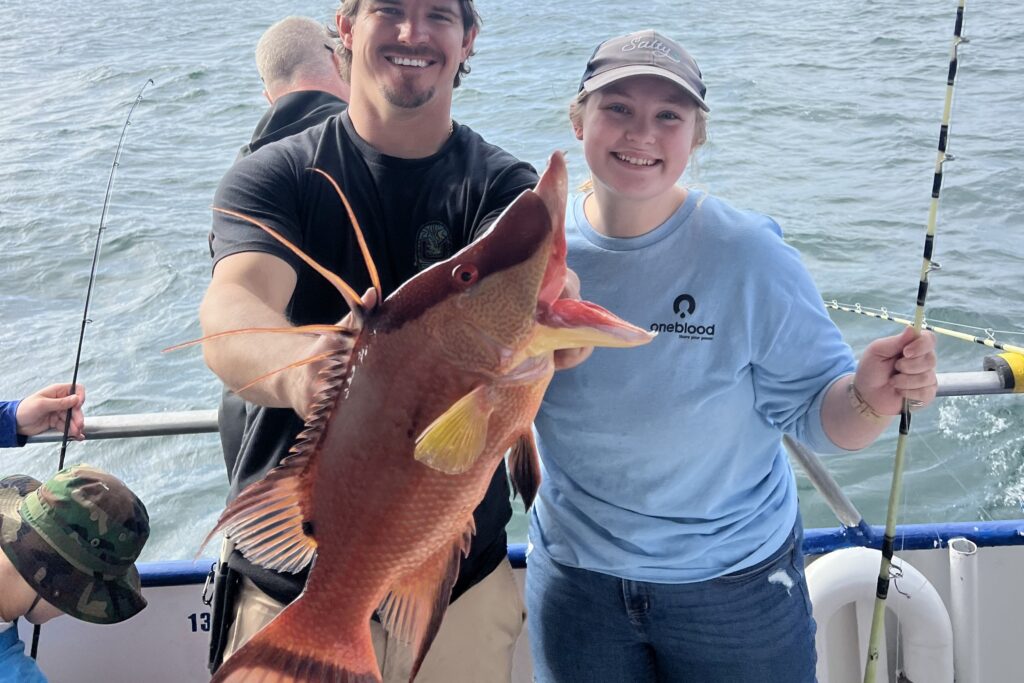 NEAR SHORE - hogfish (12)