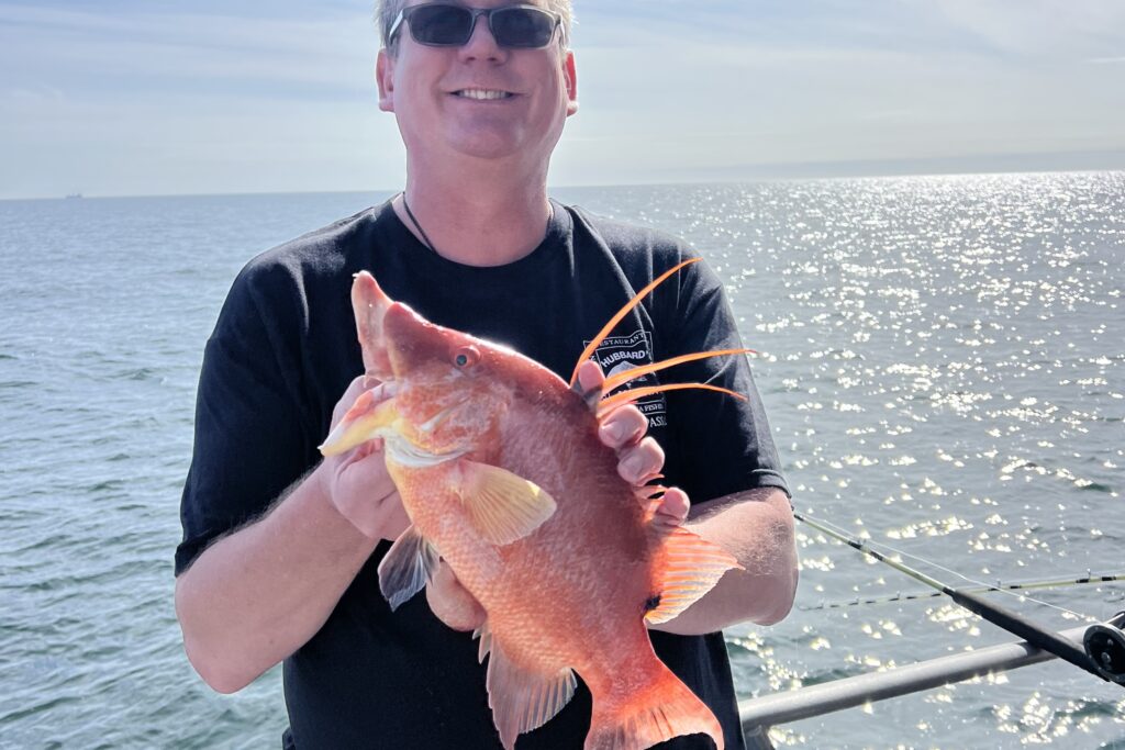 NEAR SHORE - hogfish (13)