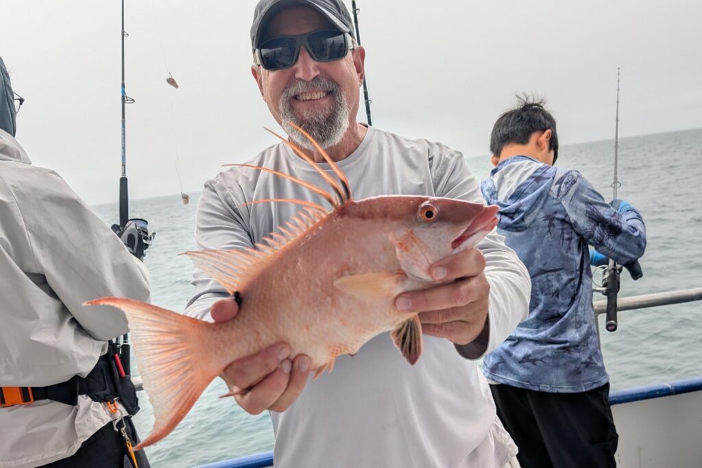 NEAR SHORE - hogfish (17)