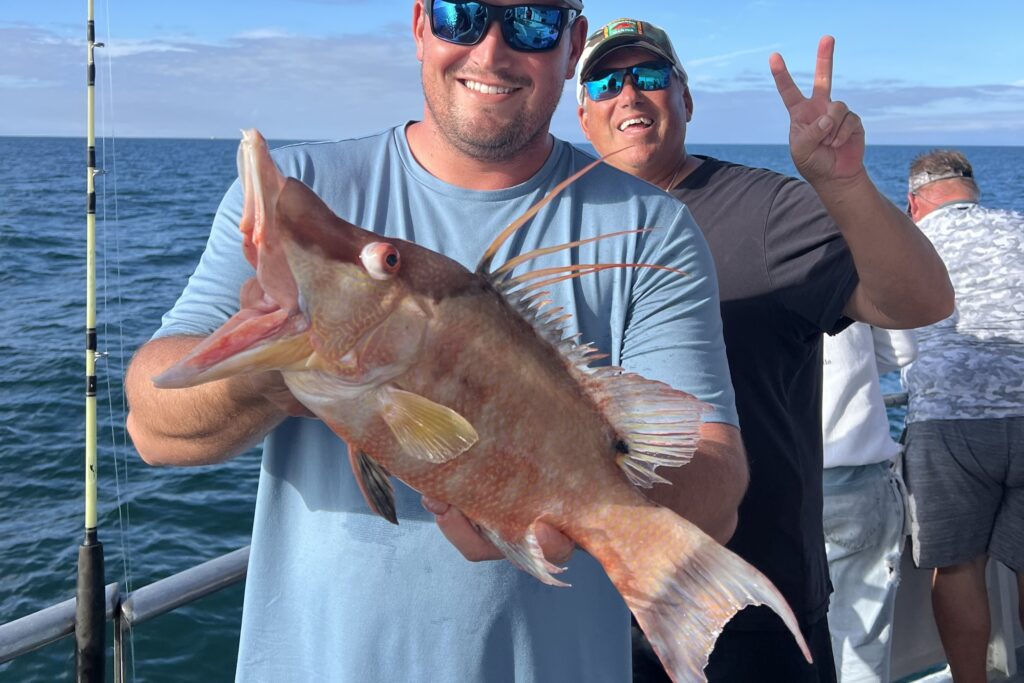 NEAR SHORE - hogfish (2)