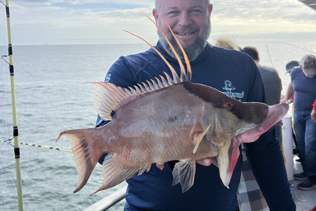 NEAR SHORE - hogfish 3