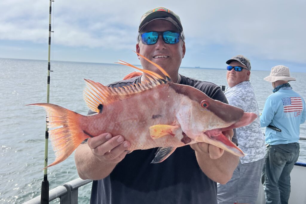 NEAR SHORE - hogfish (4)