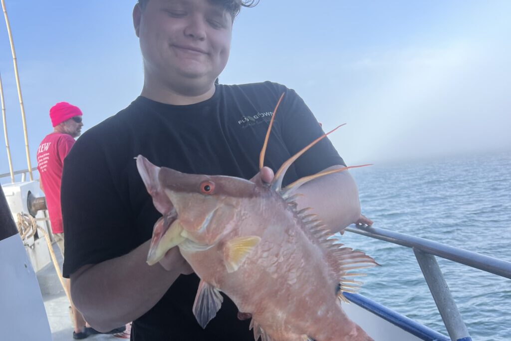 NEAR SHORE - hogfish (7)