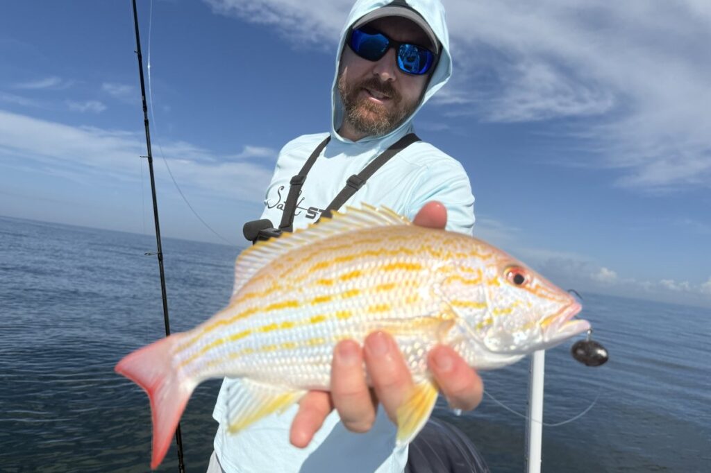 NEAR SHORE - lane snapper