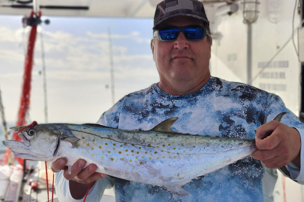 NEARHSORE-spanish mackerel