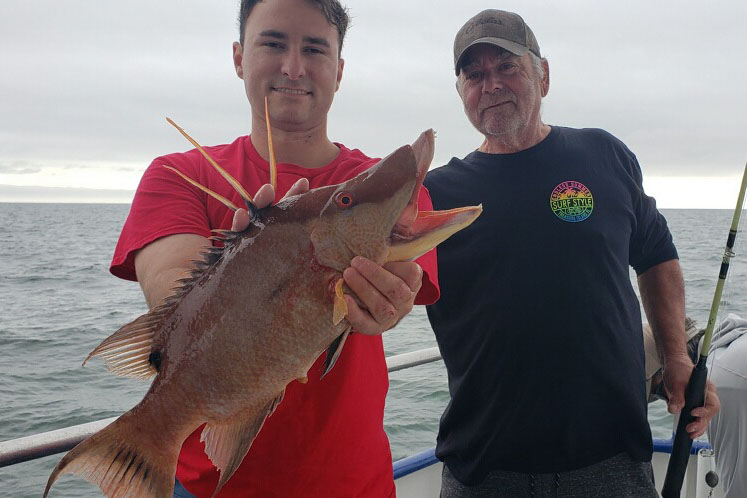 NEARSHORE-hogfish (1)