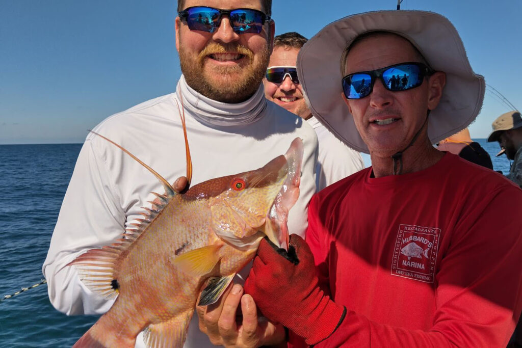 NEARSHORE-hogfish (5)