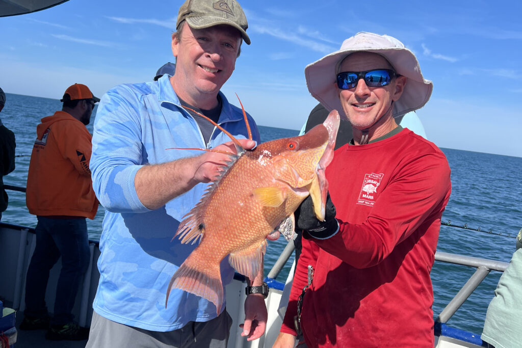 NEARSHORE-hogfish (6)