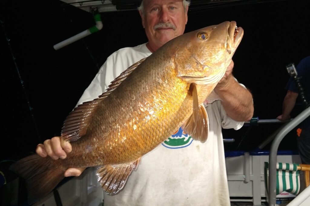 OFFSHORE - cubera snapper