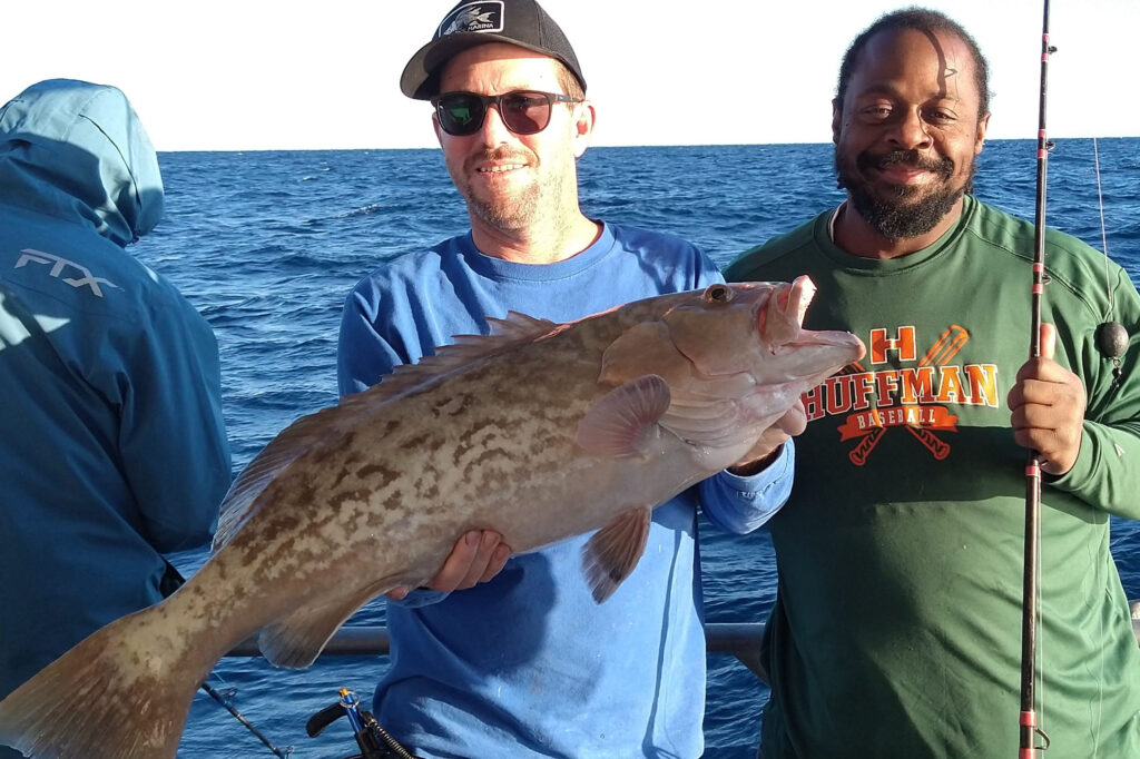 OFFSHORE-gaggrouper