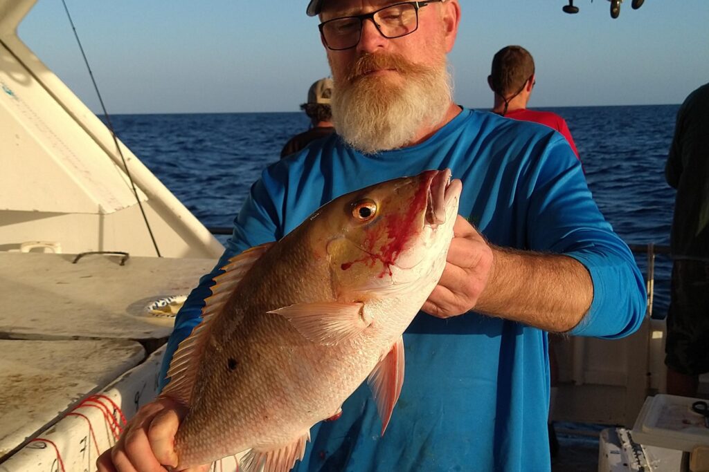 OFFSHORE - mutton snapper (1)