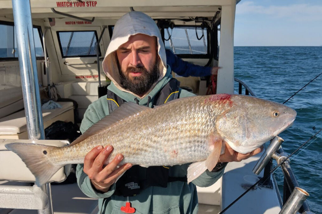 OFFSHORE-redfish