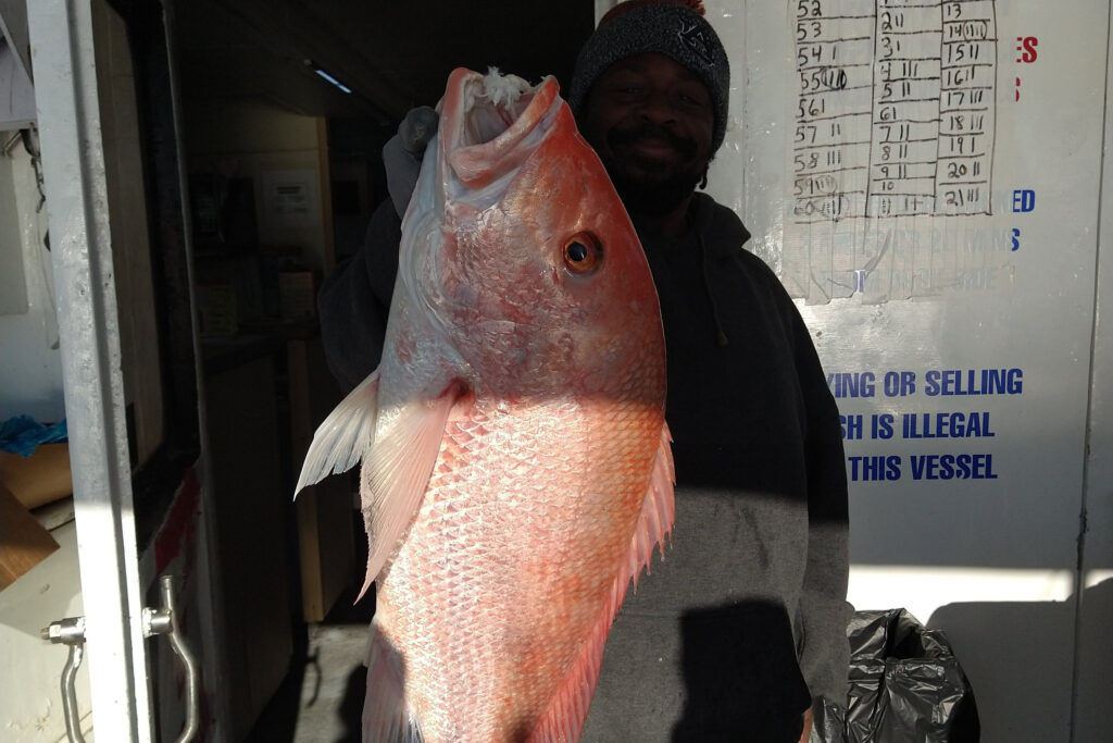 OFFSHORE-redsnapper (1)