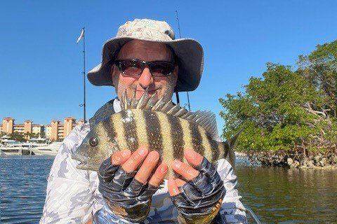 INSHORE-sheepshead