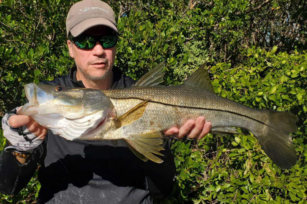 INSHORE-snook2