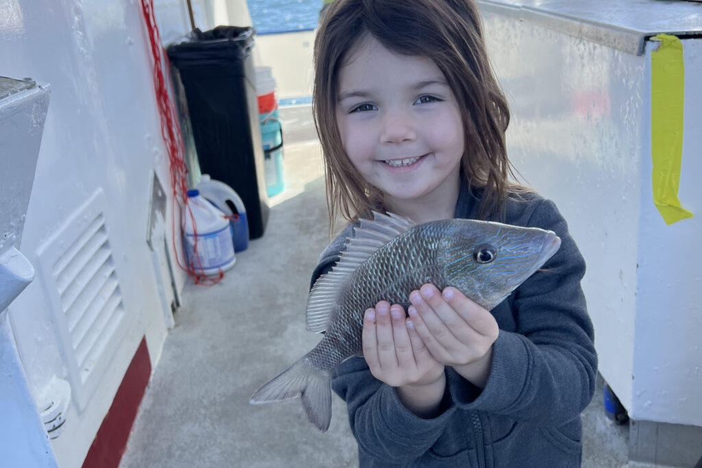 NEAR SHORE - grey snapper