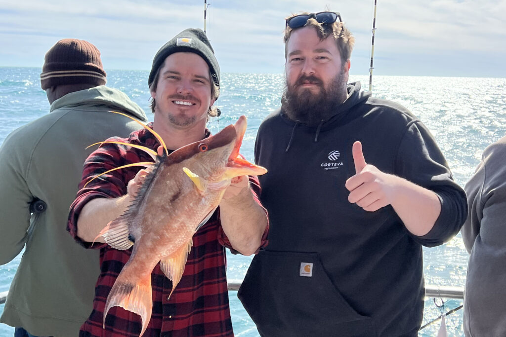 NEAR SHORE - hogfish (3)