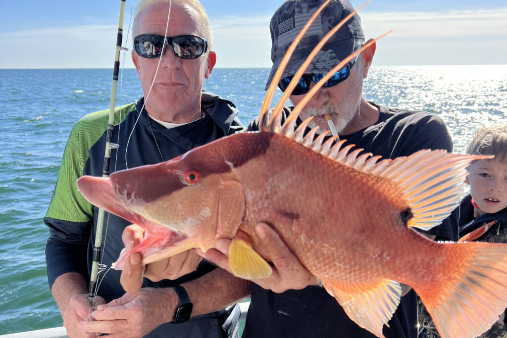 NEAR SHORE - hogfish (5)