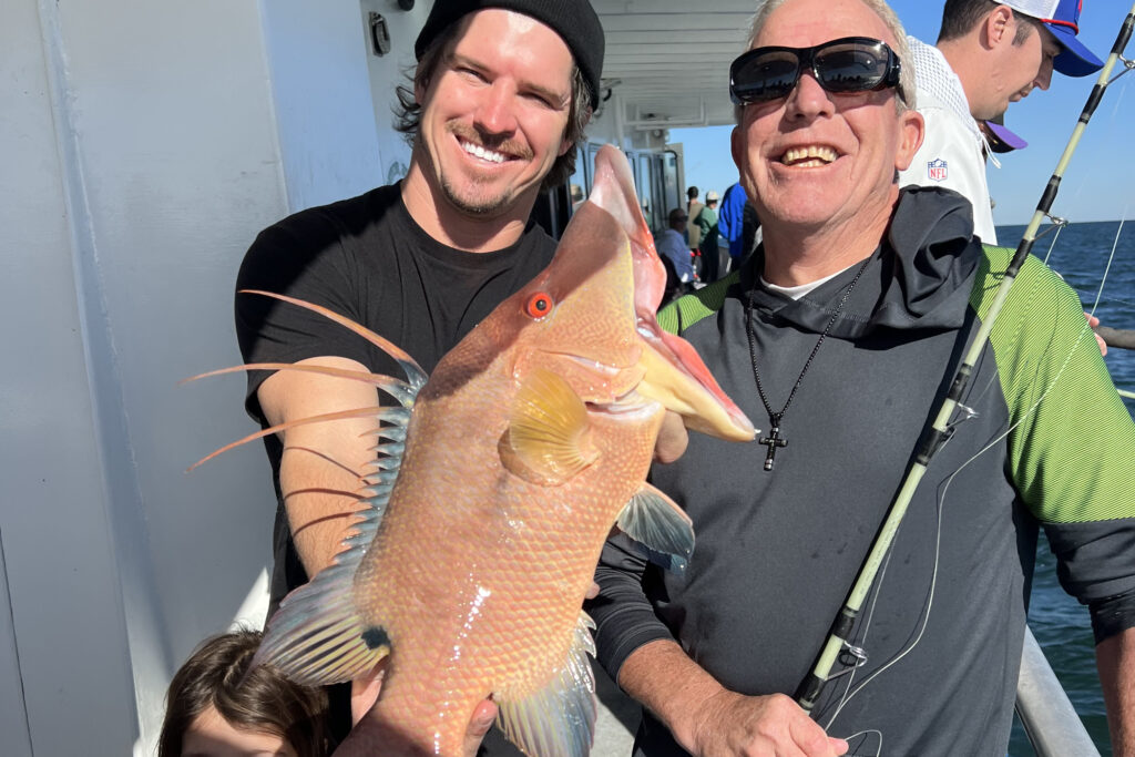 NEAR SHORE - hogfish (6)