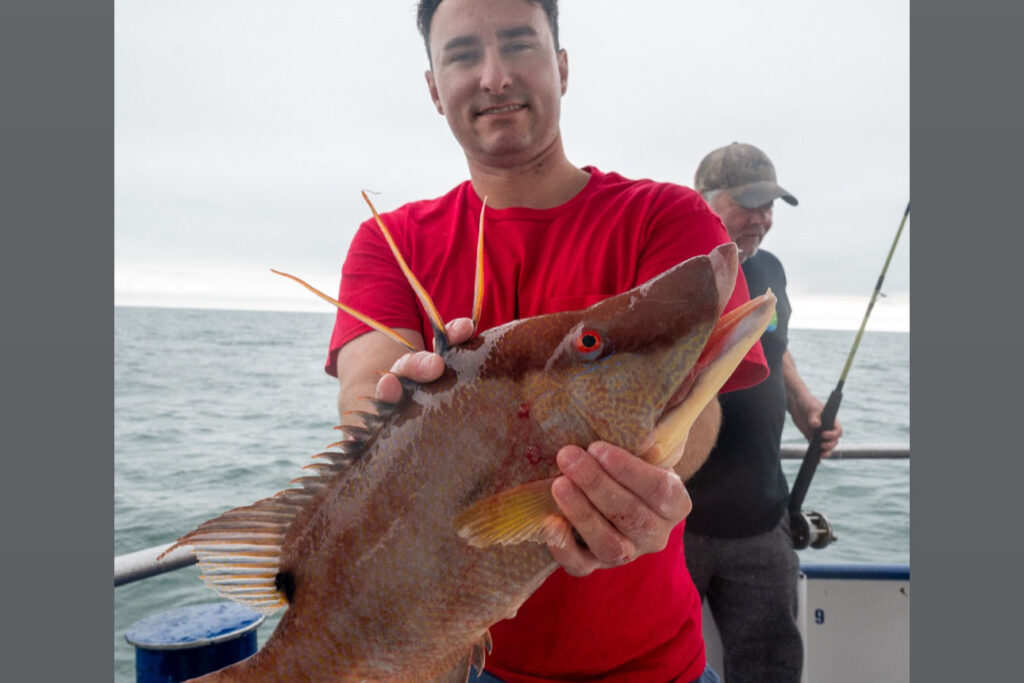 NEAR SHORE - hogfish (7)