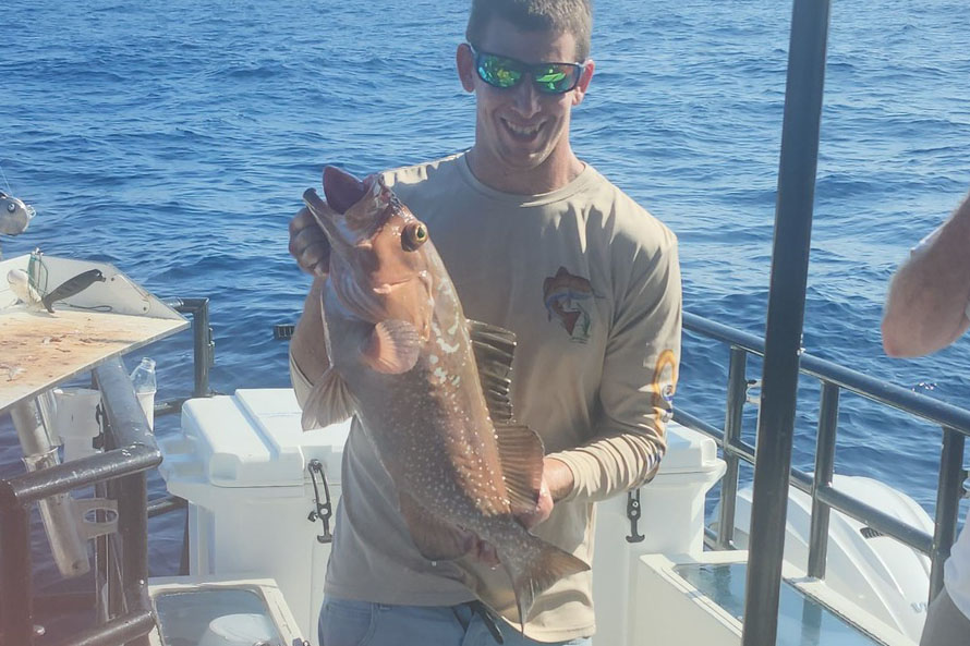 offshore-redgrouper