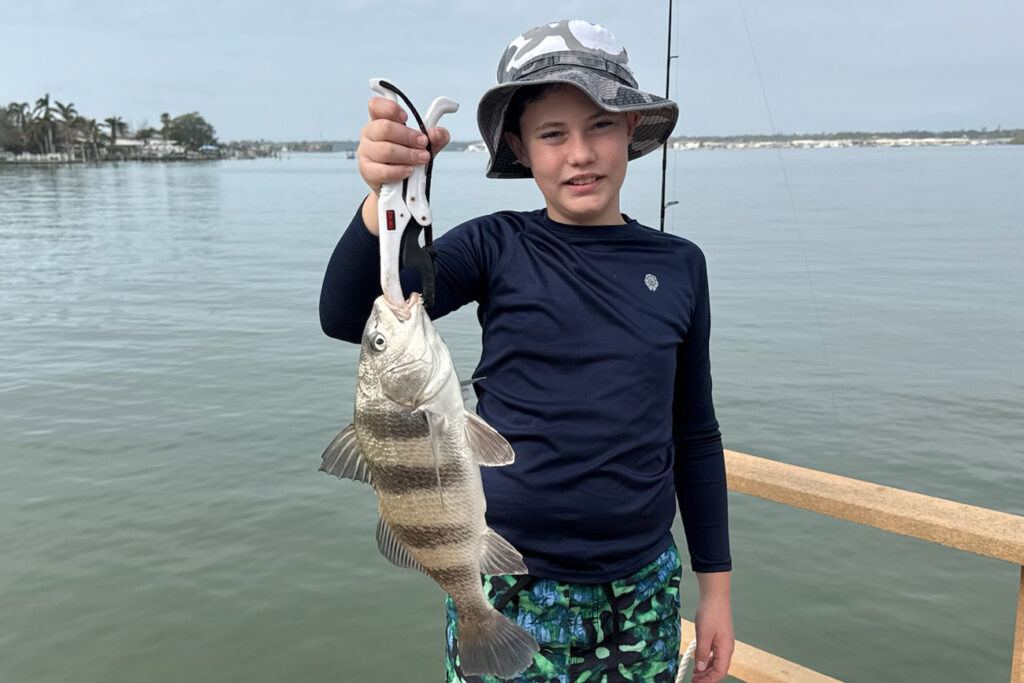 INSHORE-black drum