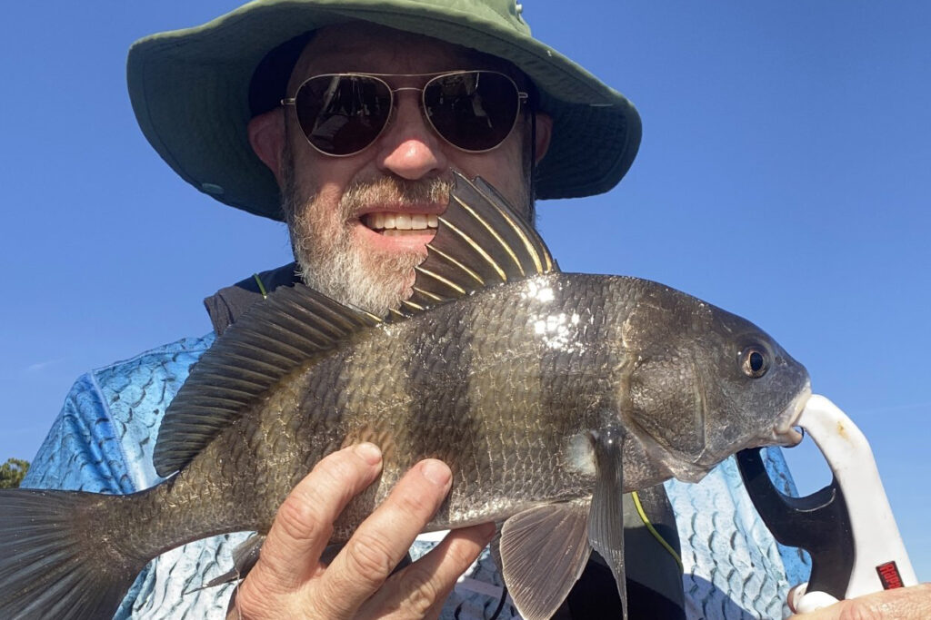 INSHORE-blackdrum