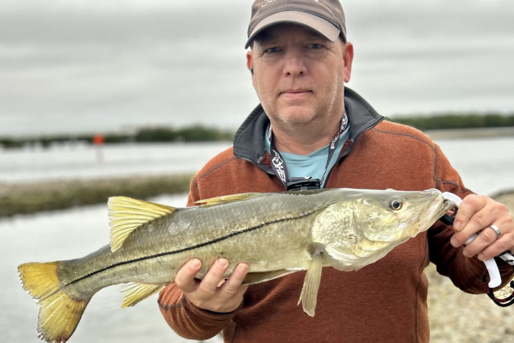 INSHORE-snook (4)