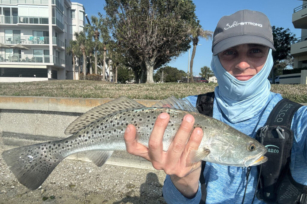 INSHORE-trout (15)